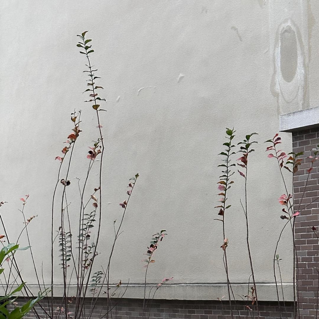 赋春
