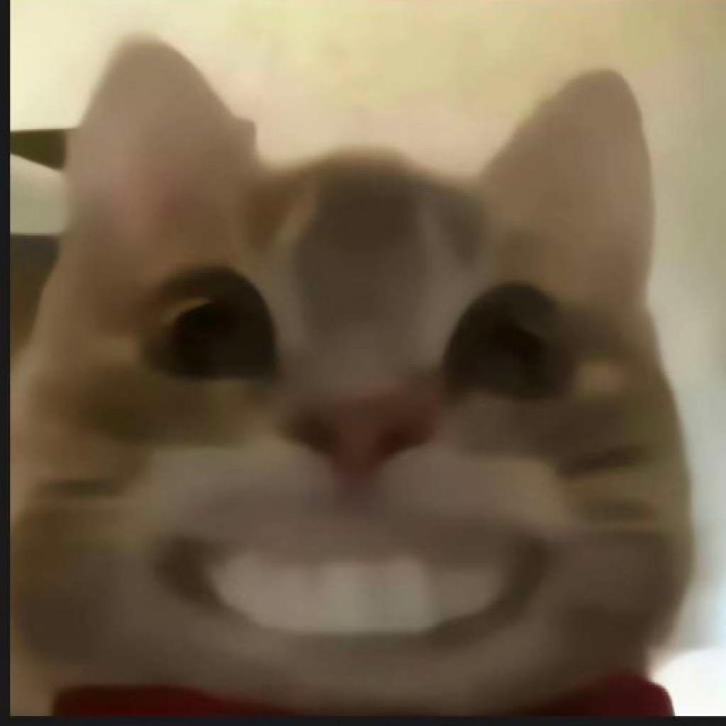 悦与君及发条鸟