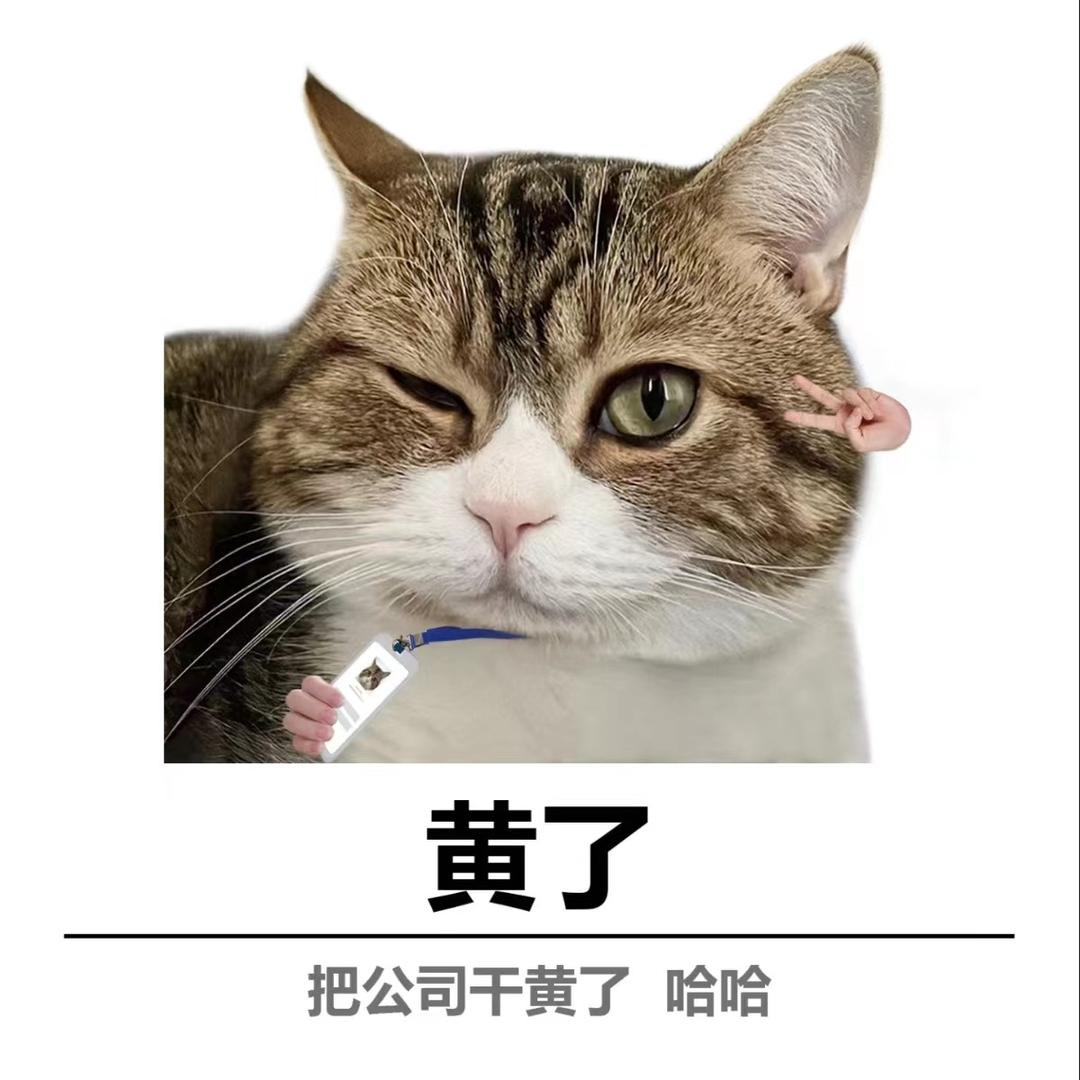 爱吃烤豆干头像