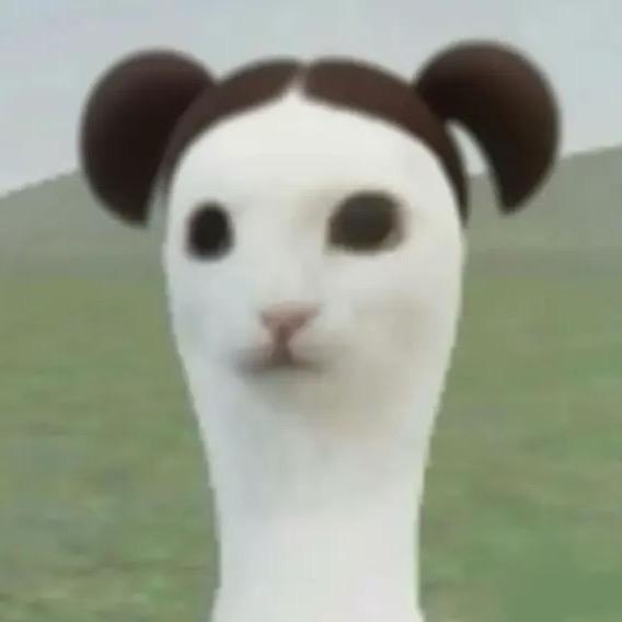 夏雯萱