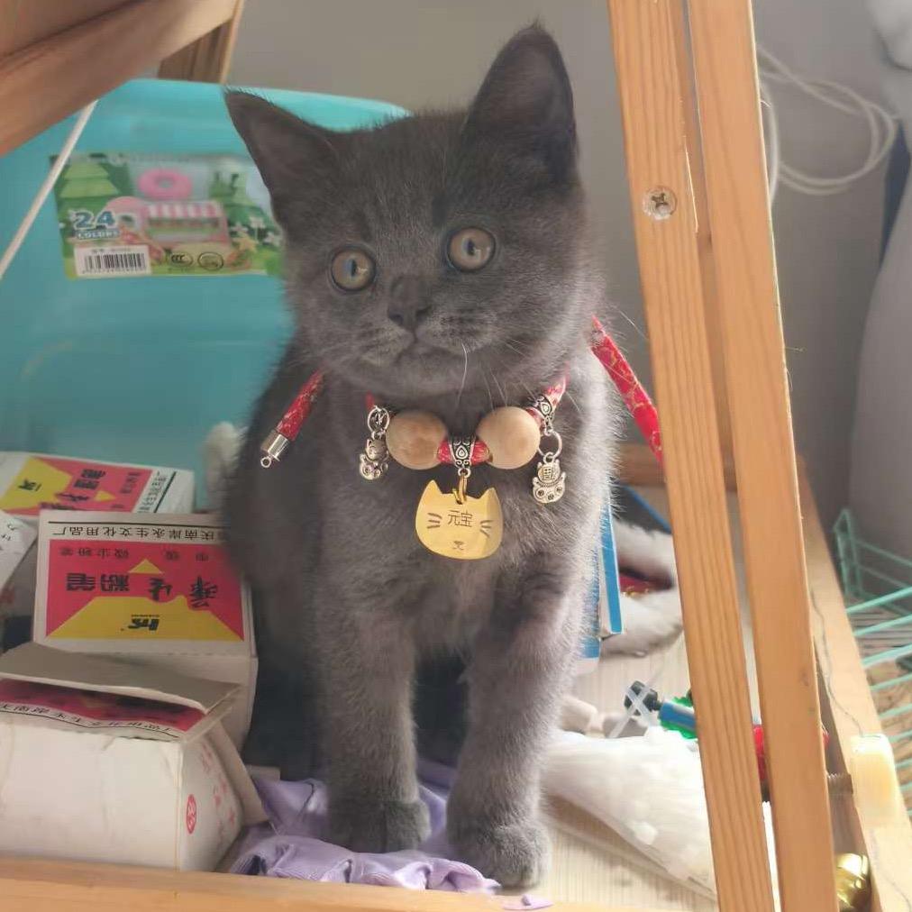 请叫我“富婆小姐姐”