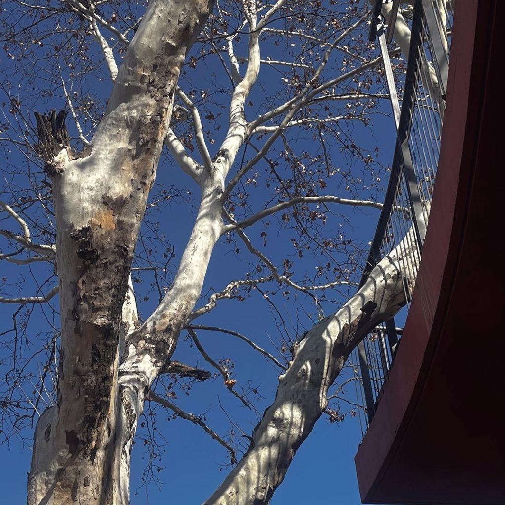 籽籽子子子子子子子子子子