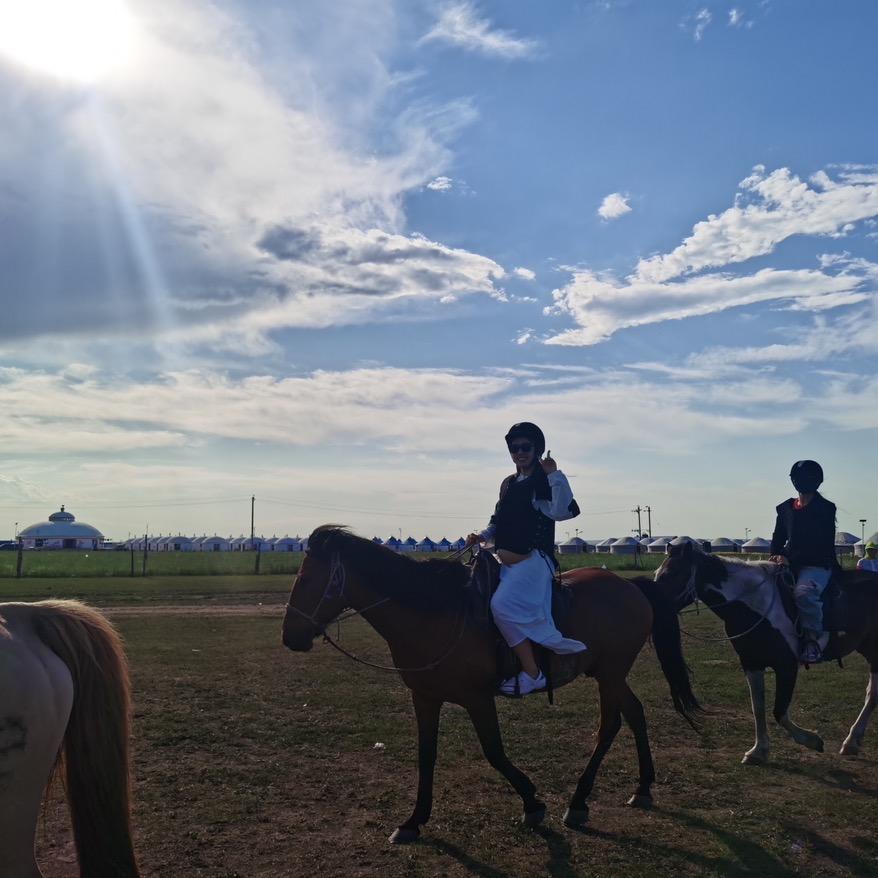 行走在草原上的牛肉干干