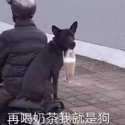莓超疯