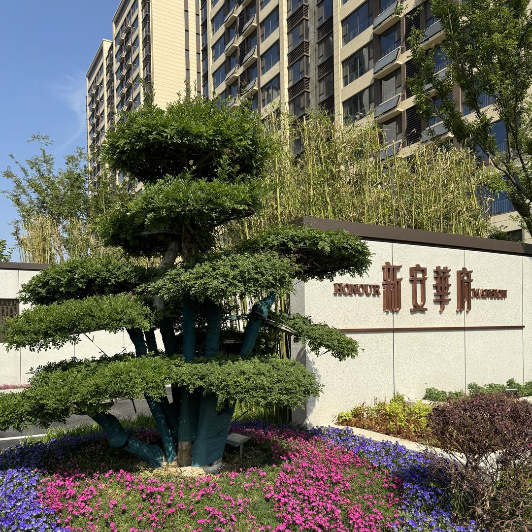 新安华府（新大置业）