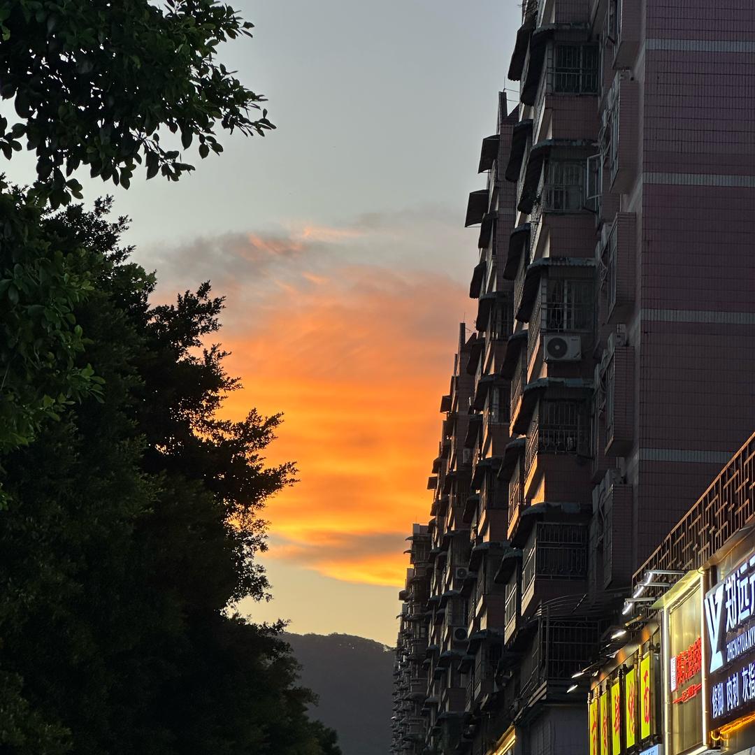 把生活拍成奥斯卡