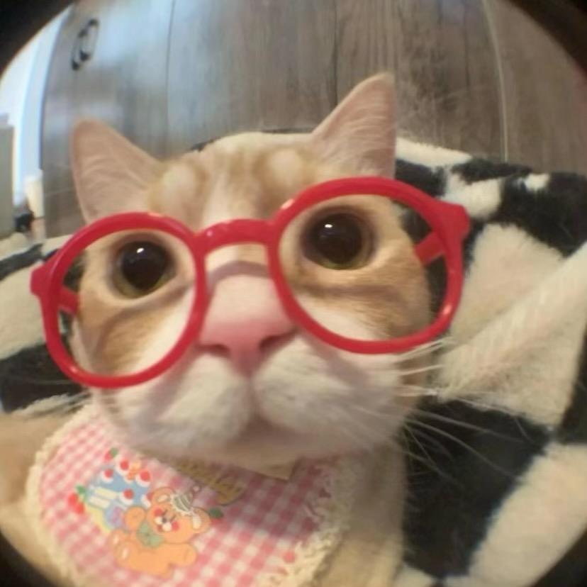 易小鹤（见过千玺版）