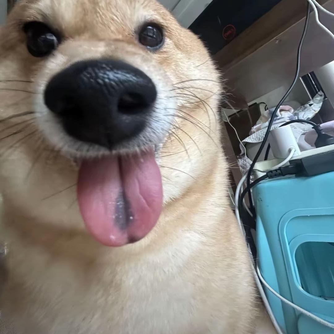 云缗
