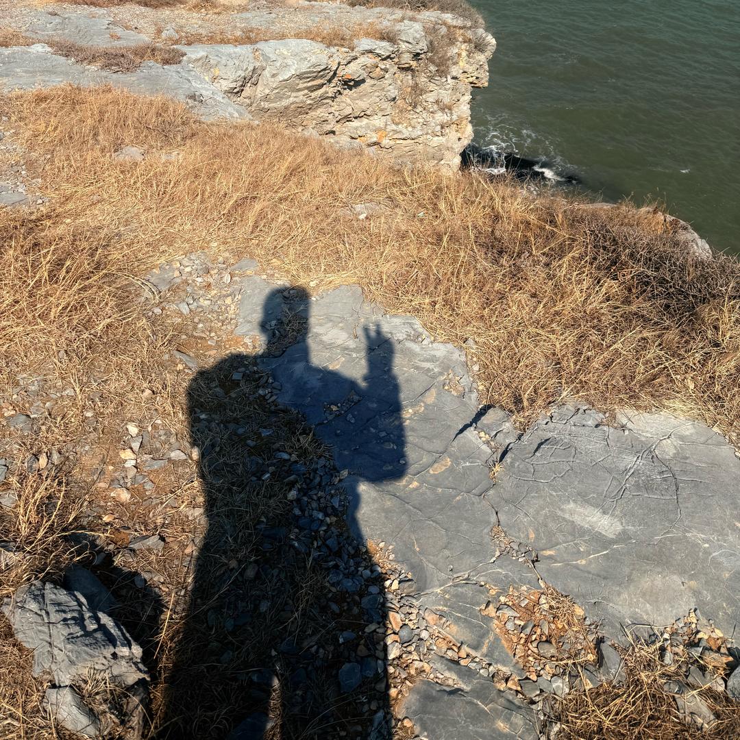 要长蘑菇了(减脂版)