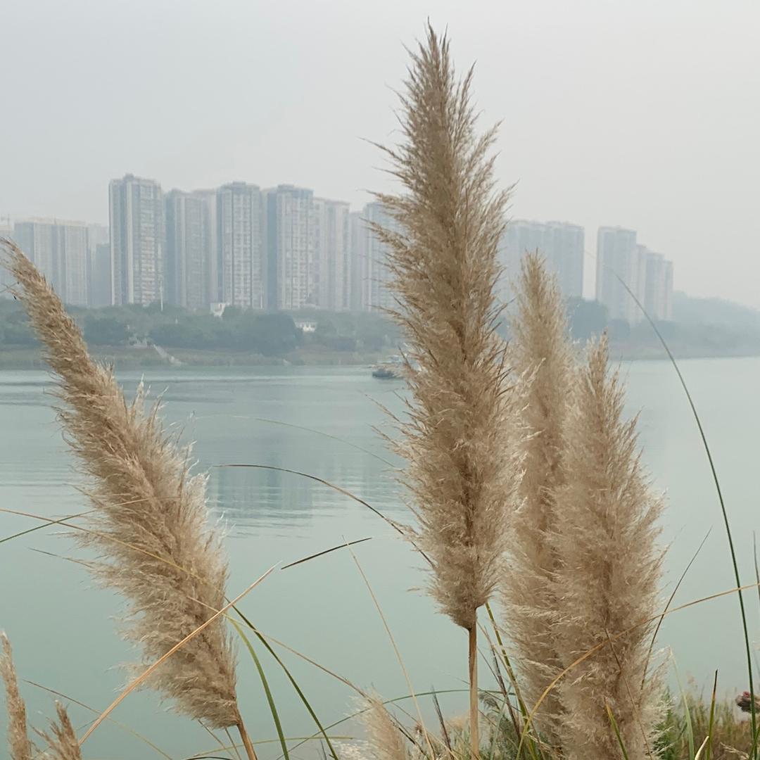 梁陈♥美景