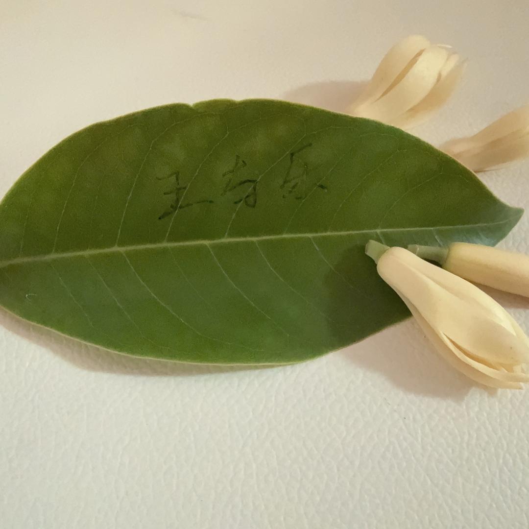 每天都是大晴天🌞