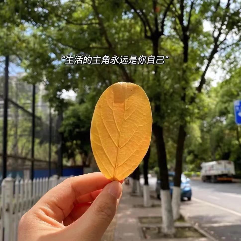 默