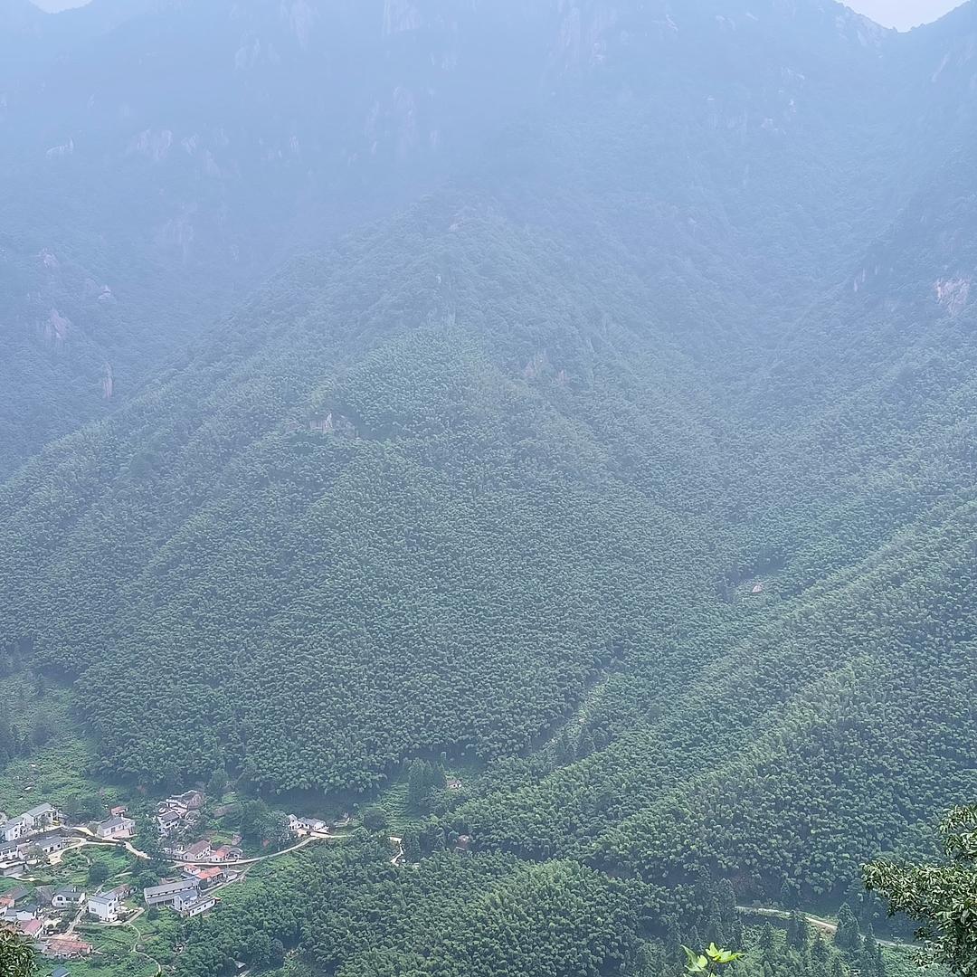 野钓<苏北小胖哥>