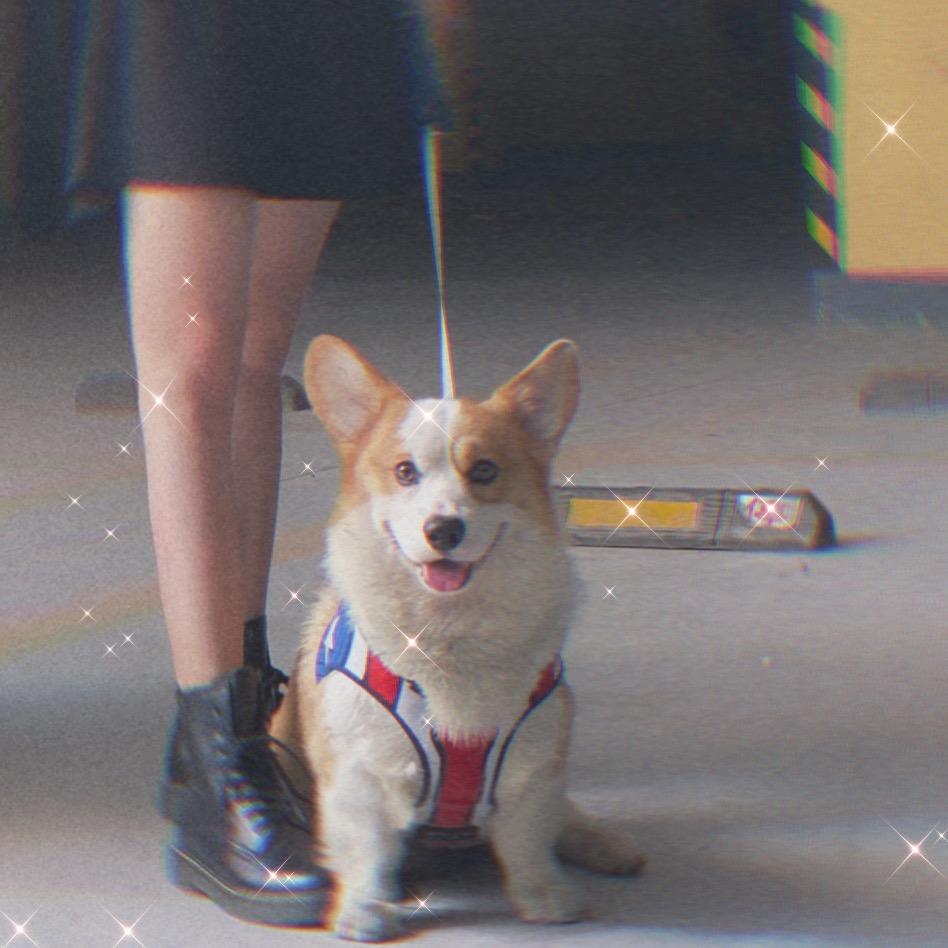 旺仔日记123