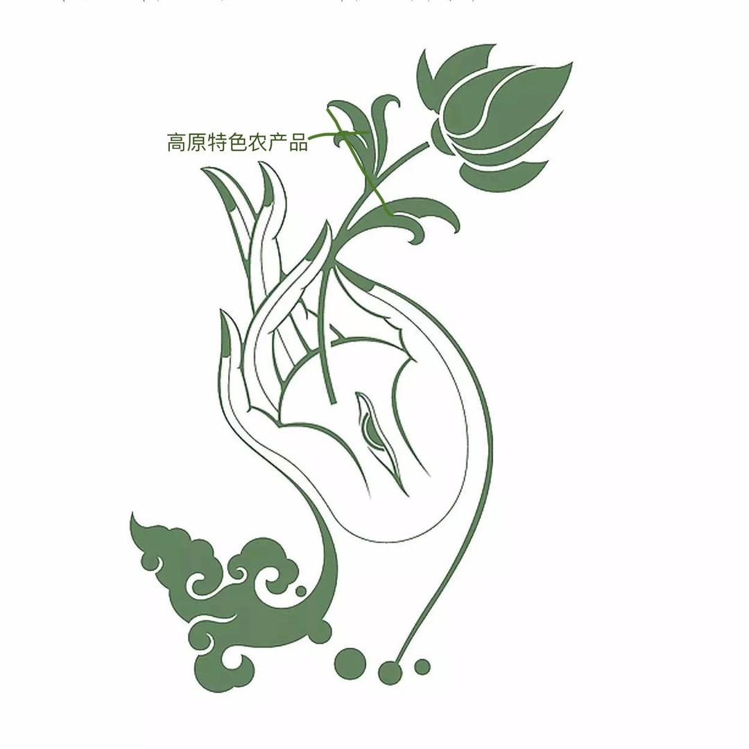 高原甄选农产品