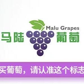 烯彤百货上海仓