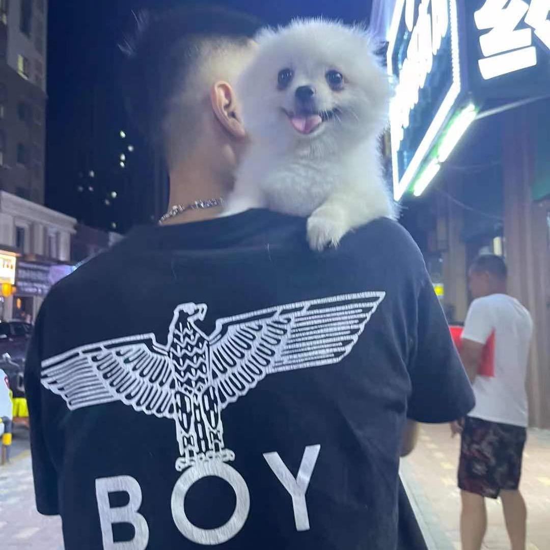 一罐八宝邹