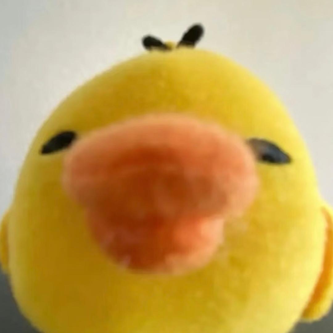 鳖扯犊子虾扯蛋