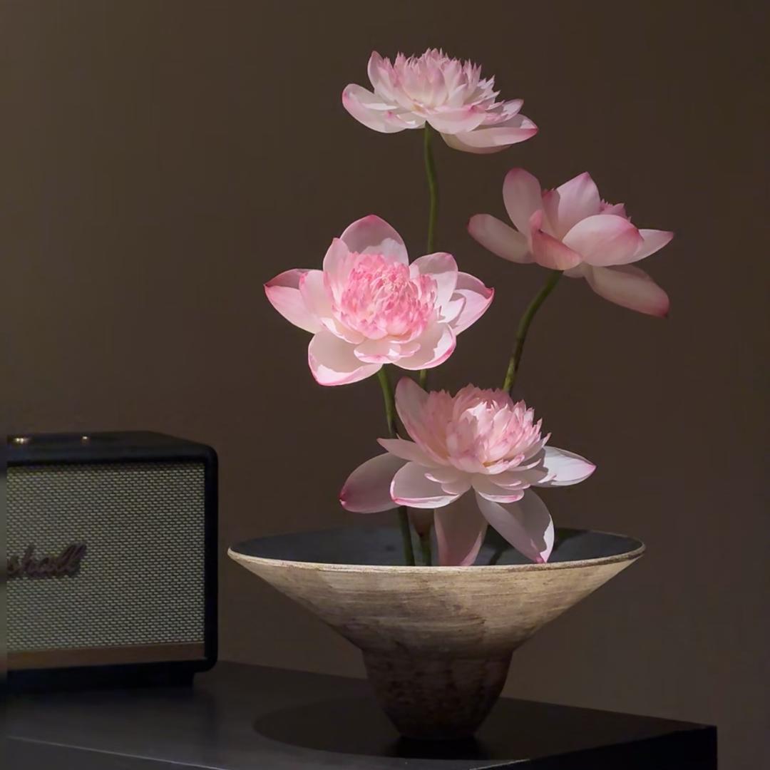 毛豆