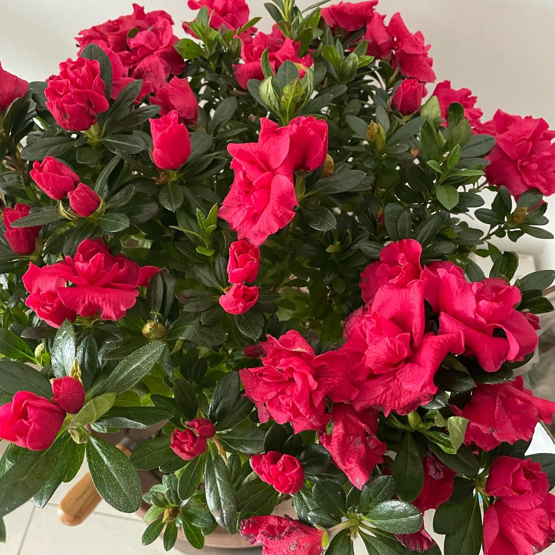 琳琳是我的宝贝