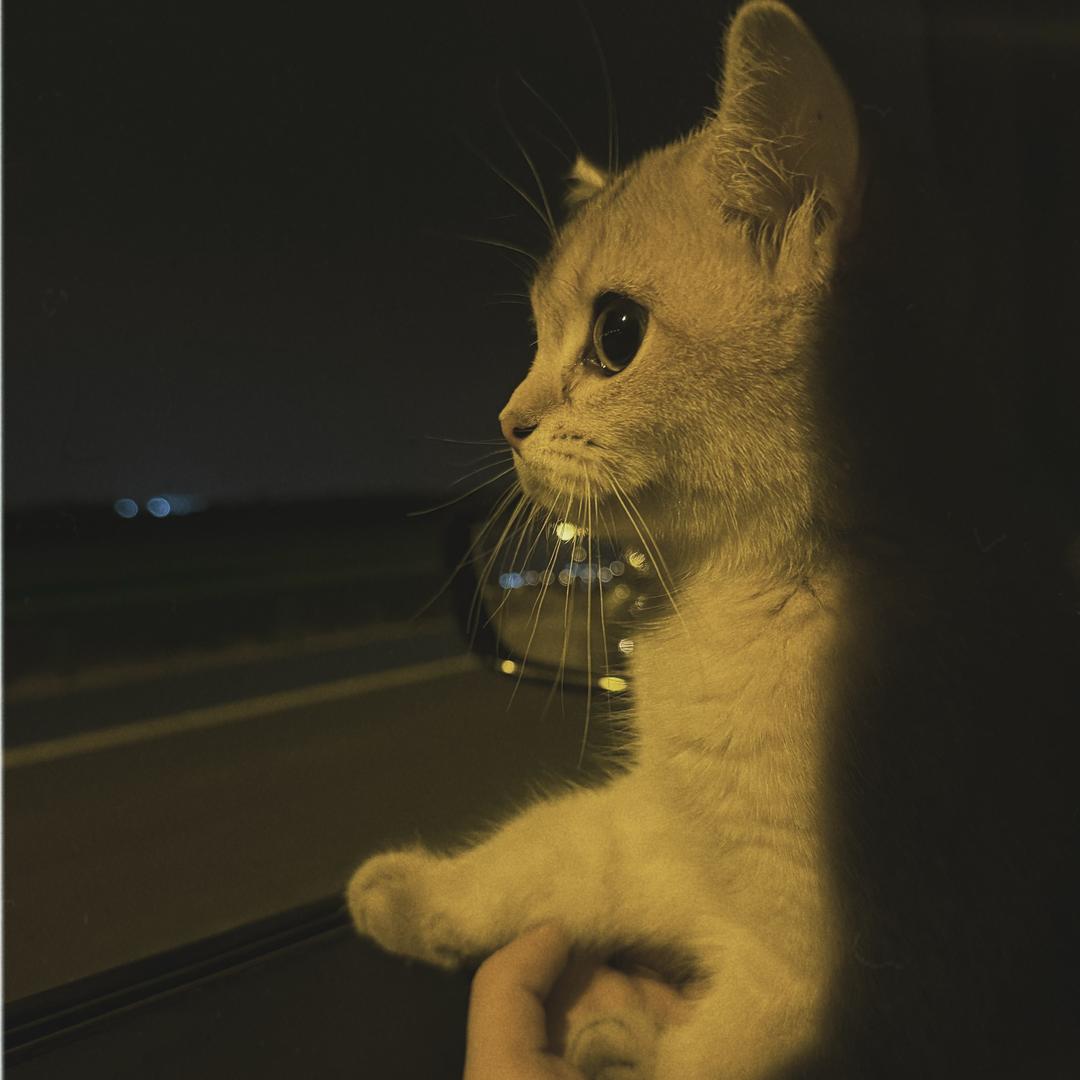 慕糖ˢʸ