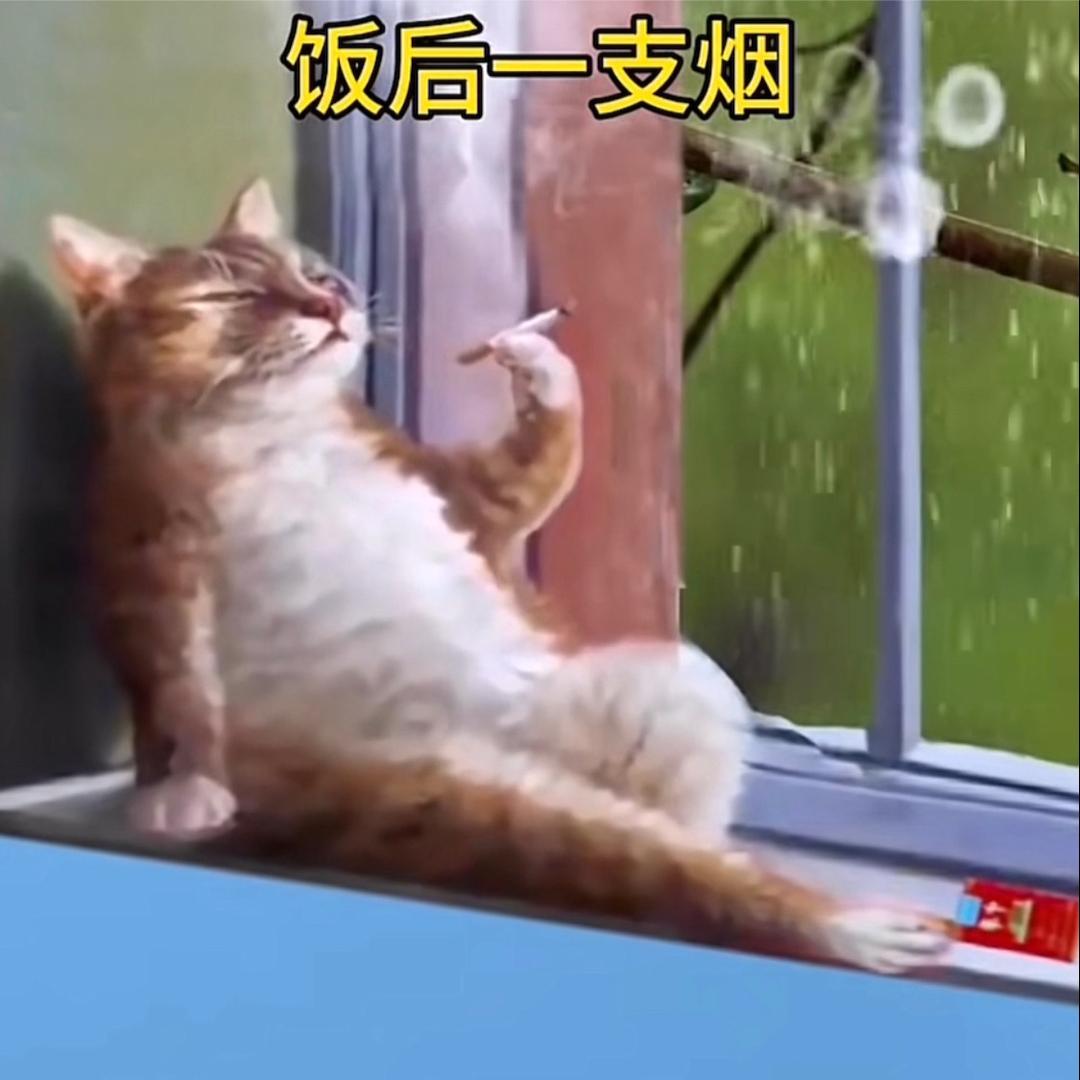 一切安好