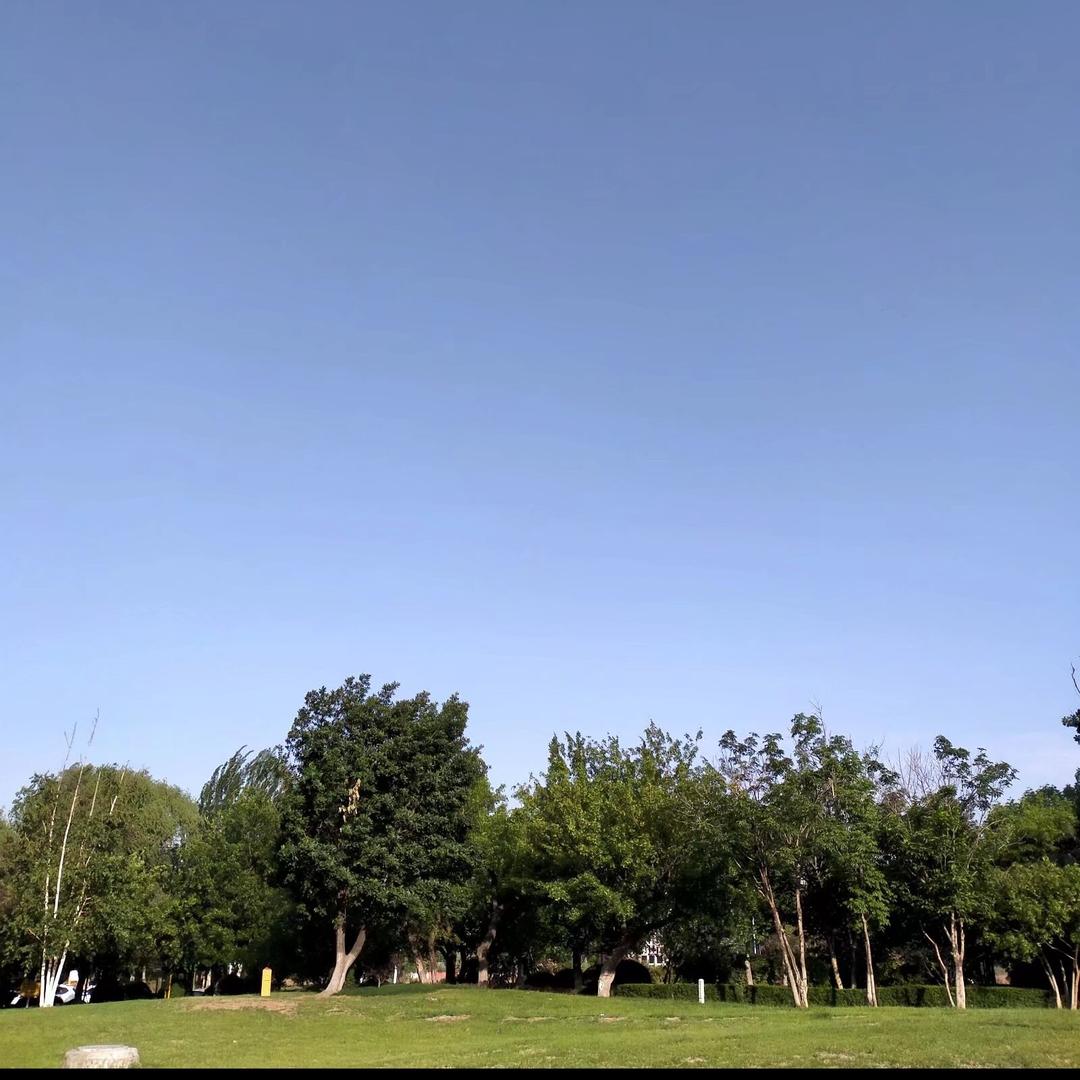 小小新