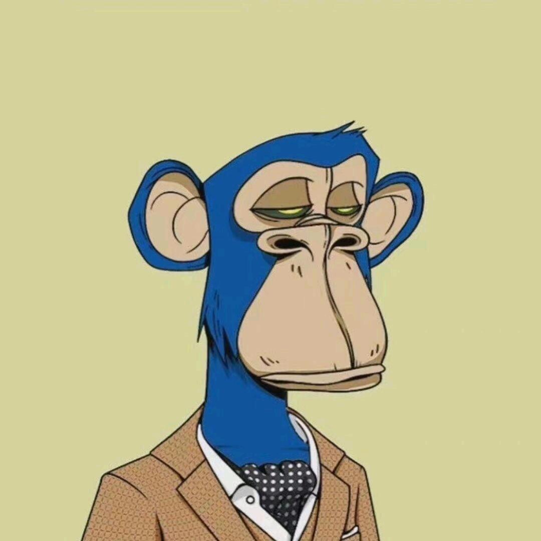 被舍友背刺的每一天