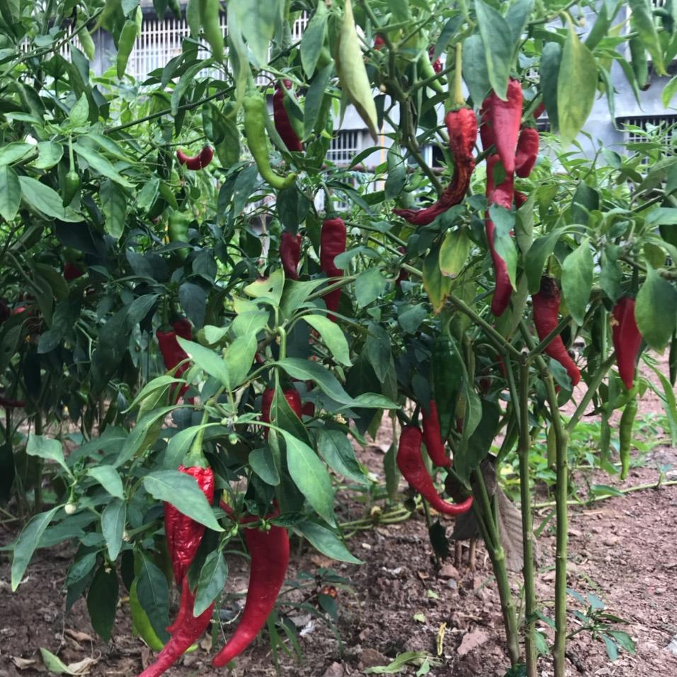 @@风雨见彩☯☯☯☯