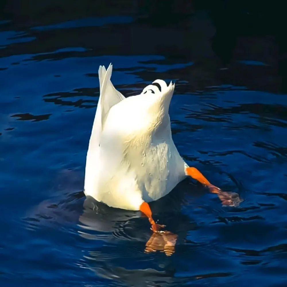 YYk（三角洲行动）