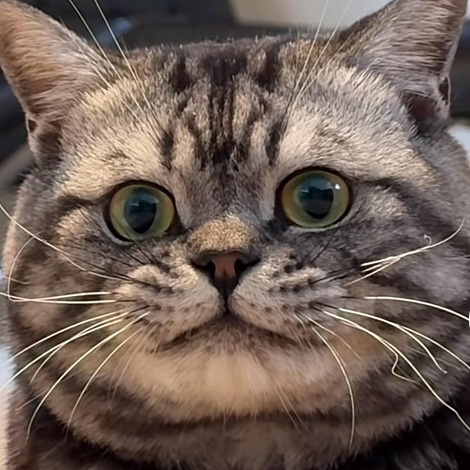 尴尬又不失礼貌的微笑