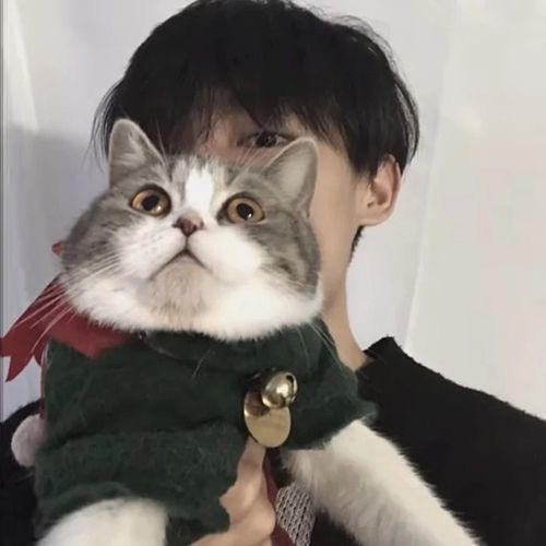 猫右Ash（声优剧场）
