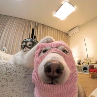 天天开心没烦恼