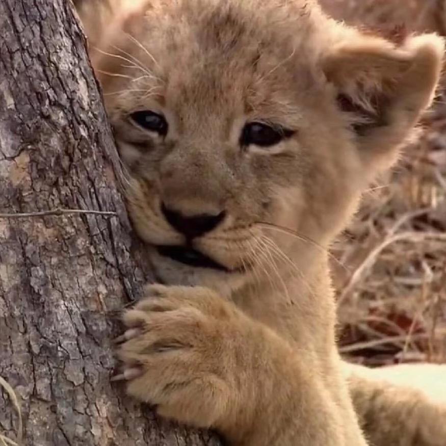 那年我双手插兜！