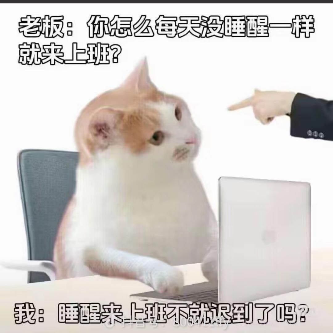 懒洋洋大王