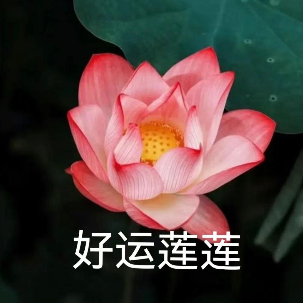 多多儿