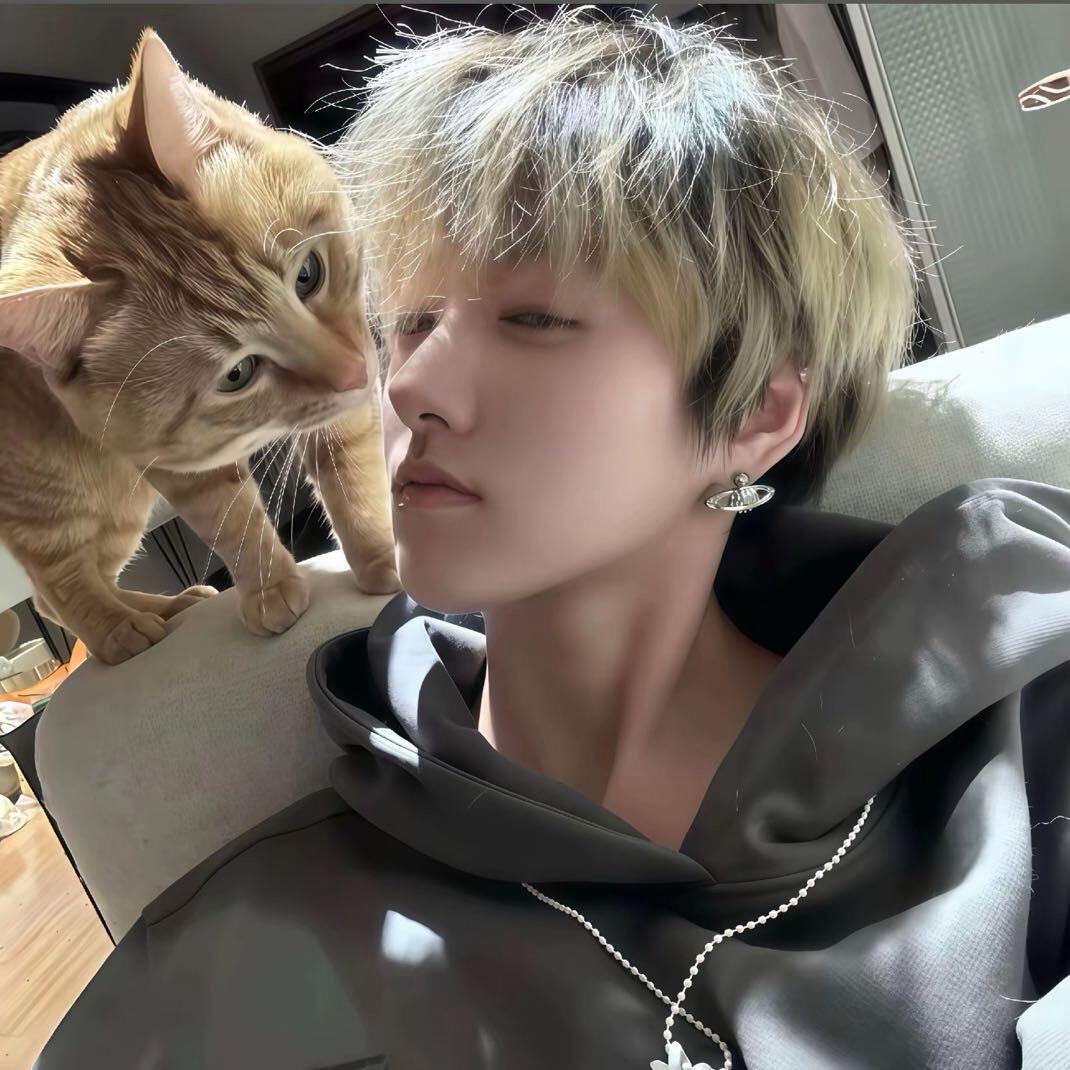 黑猫团长🐈‍⬛