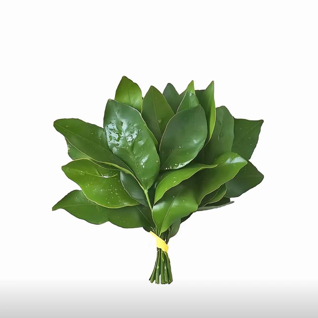 比内裤还黏屁股的女人👩