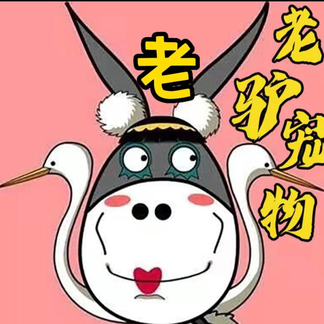 老驴宠物
