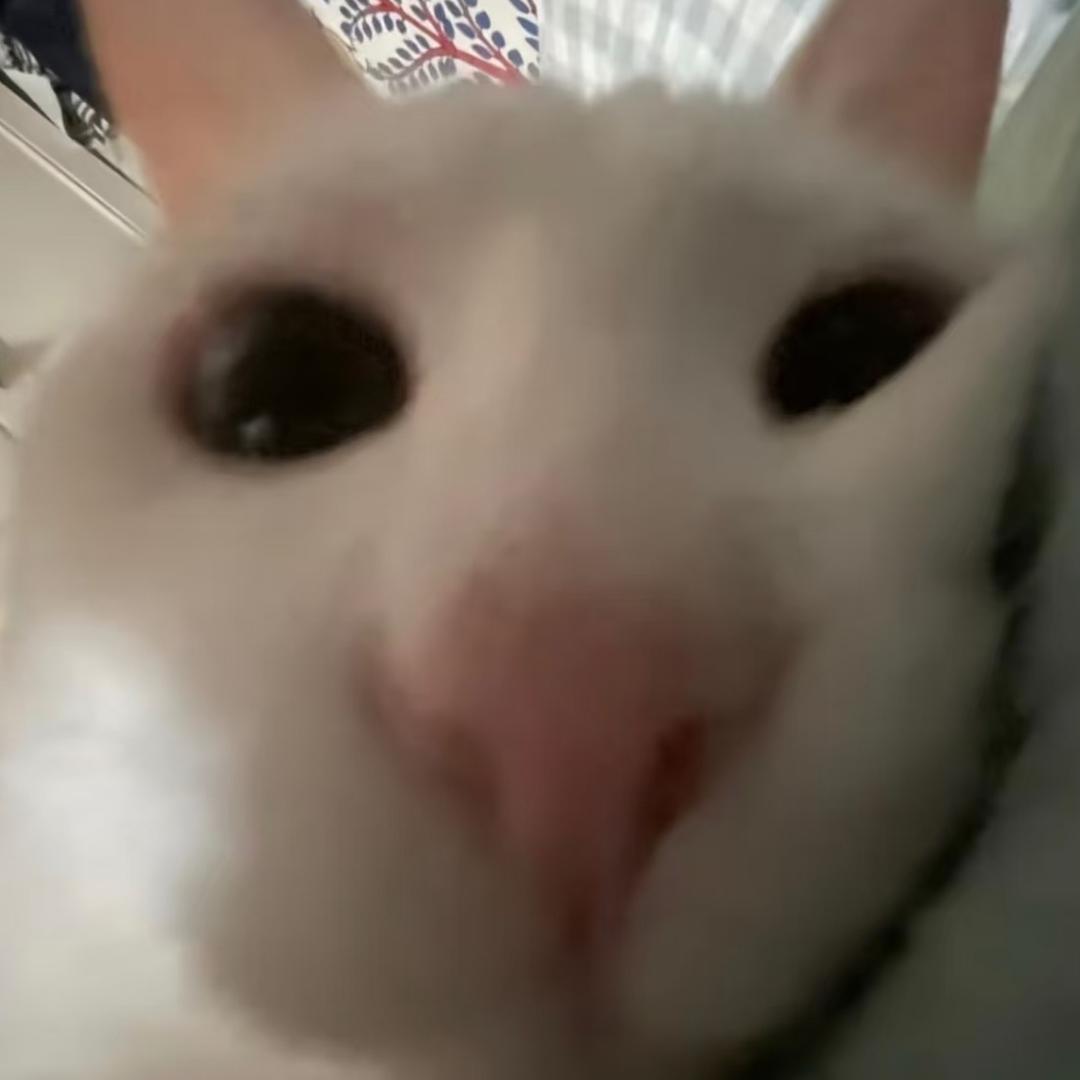 茉莉乌龙头像