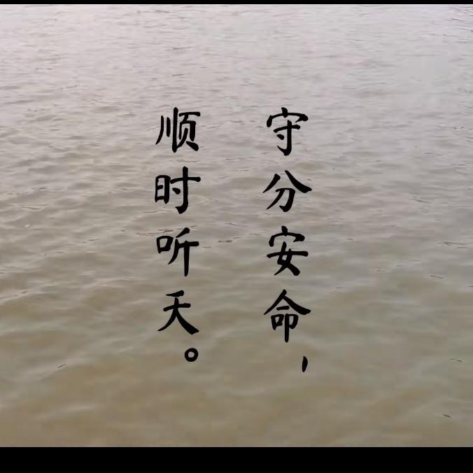 小杨 专业倒垄