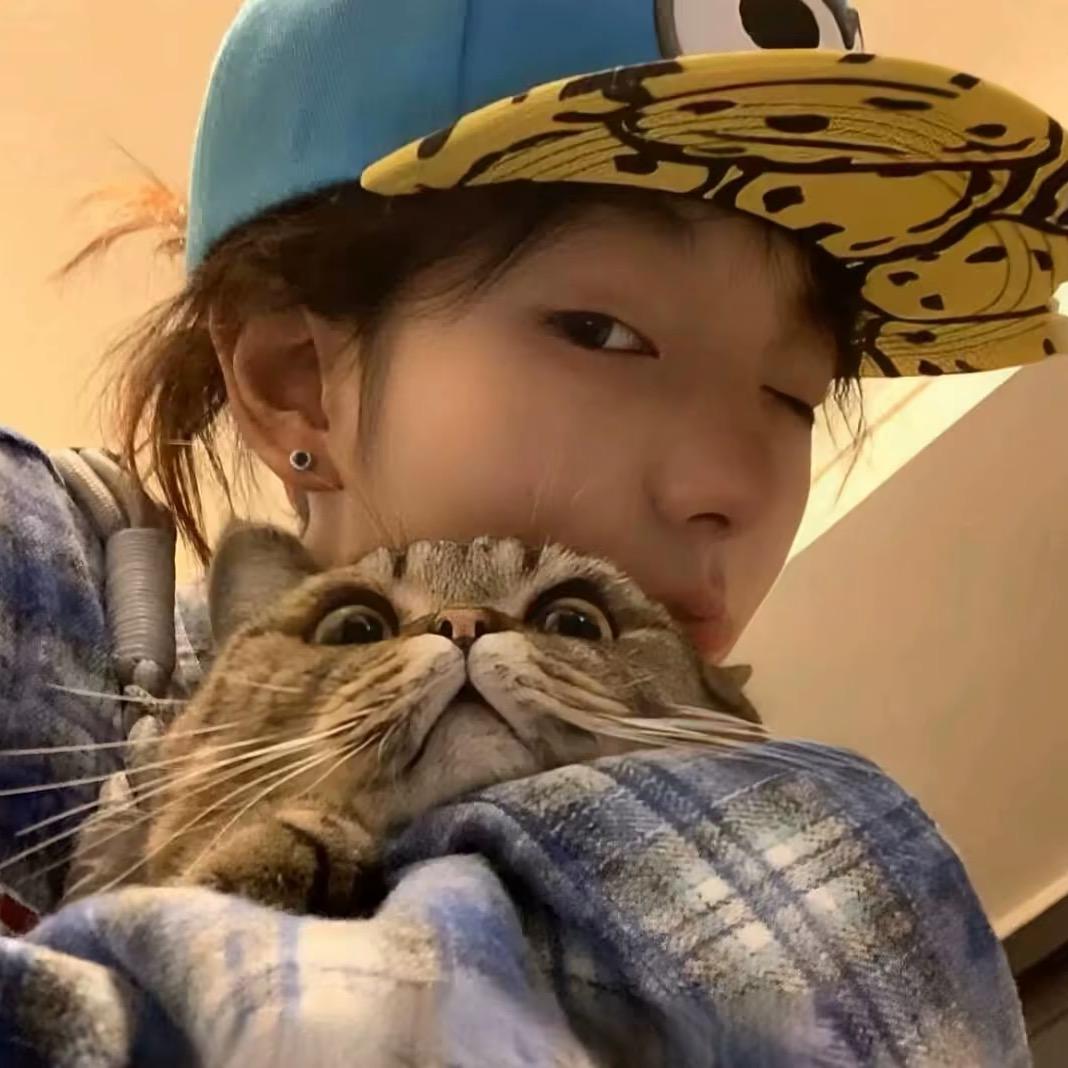 十七🐾
