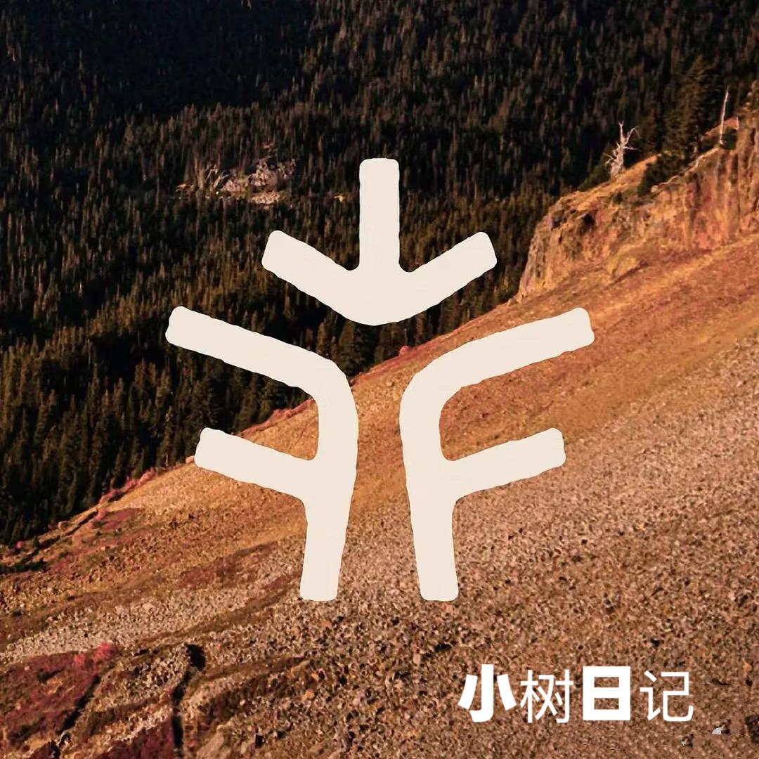 小树日记精选
