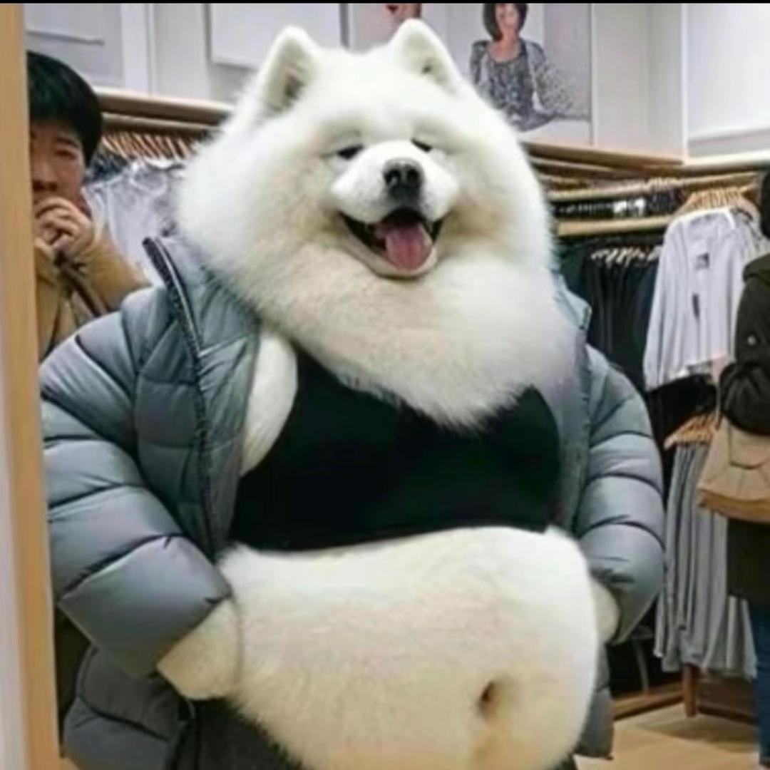 @早睡一分钟🌙