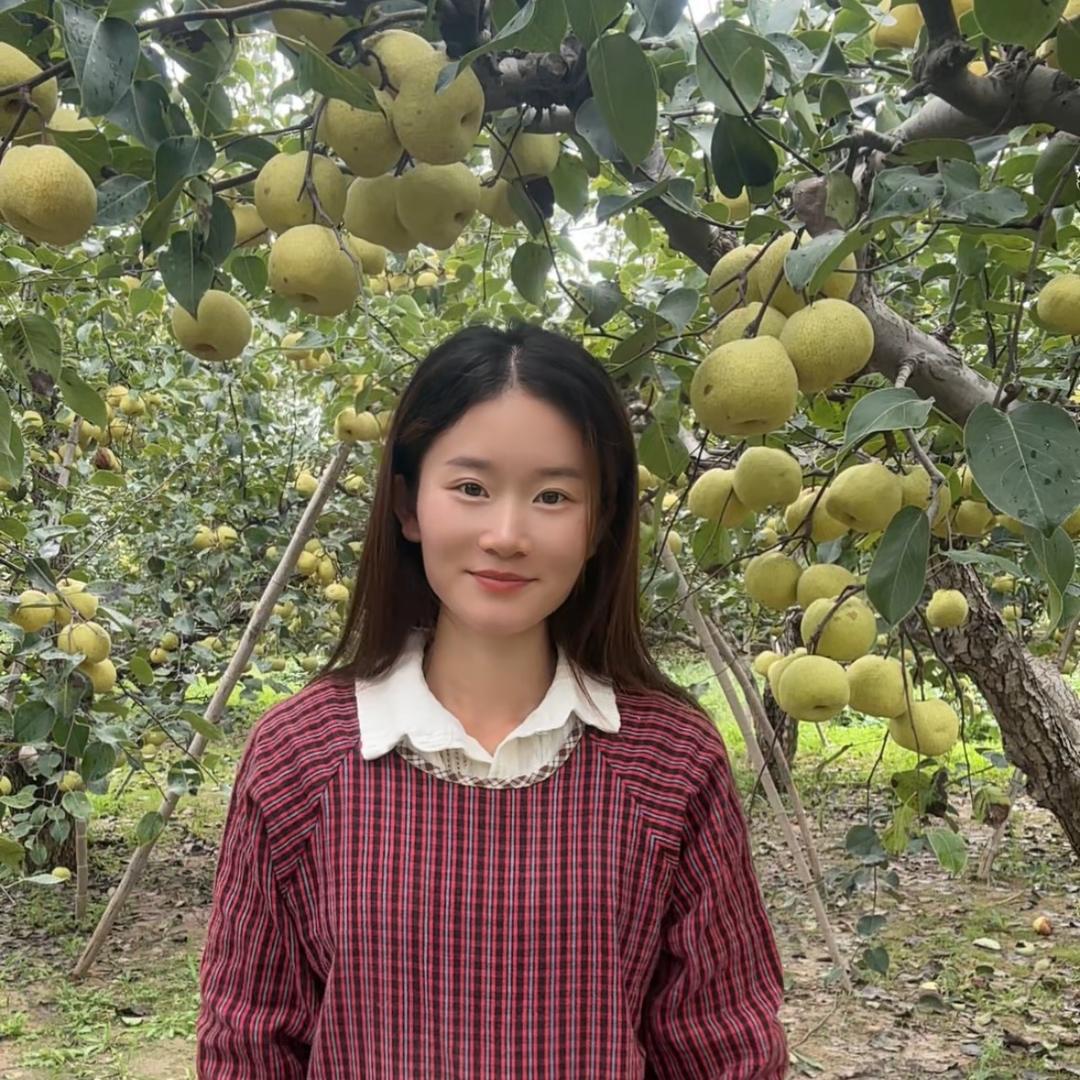 砀山丽丽(午晚饭托管日常)