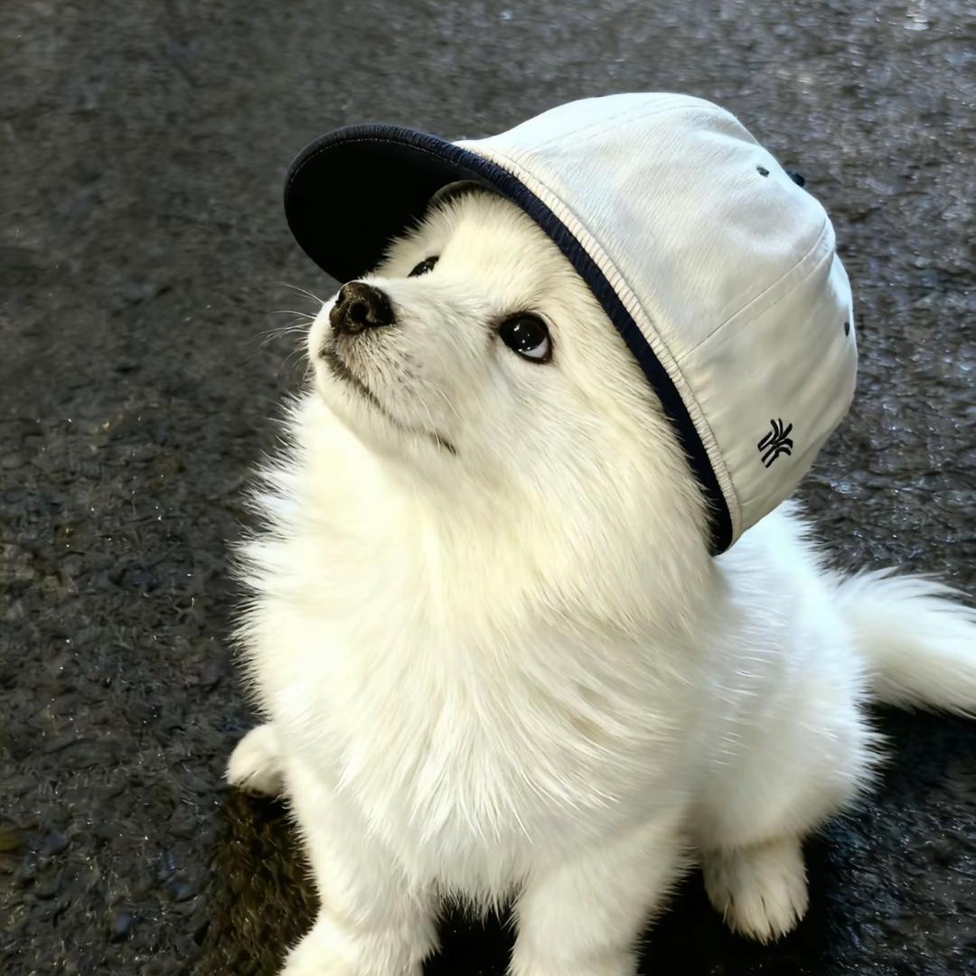 咖啡不断➕🏠加到厌倦