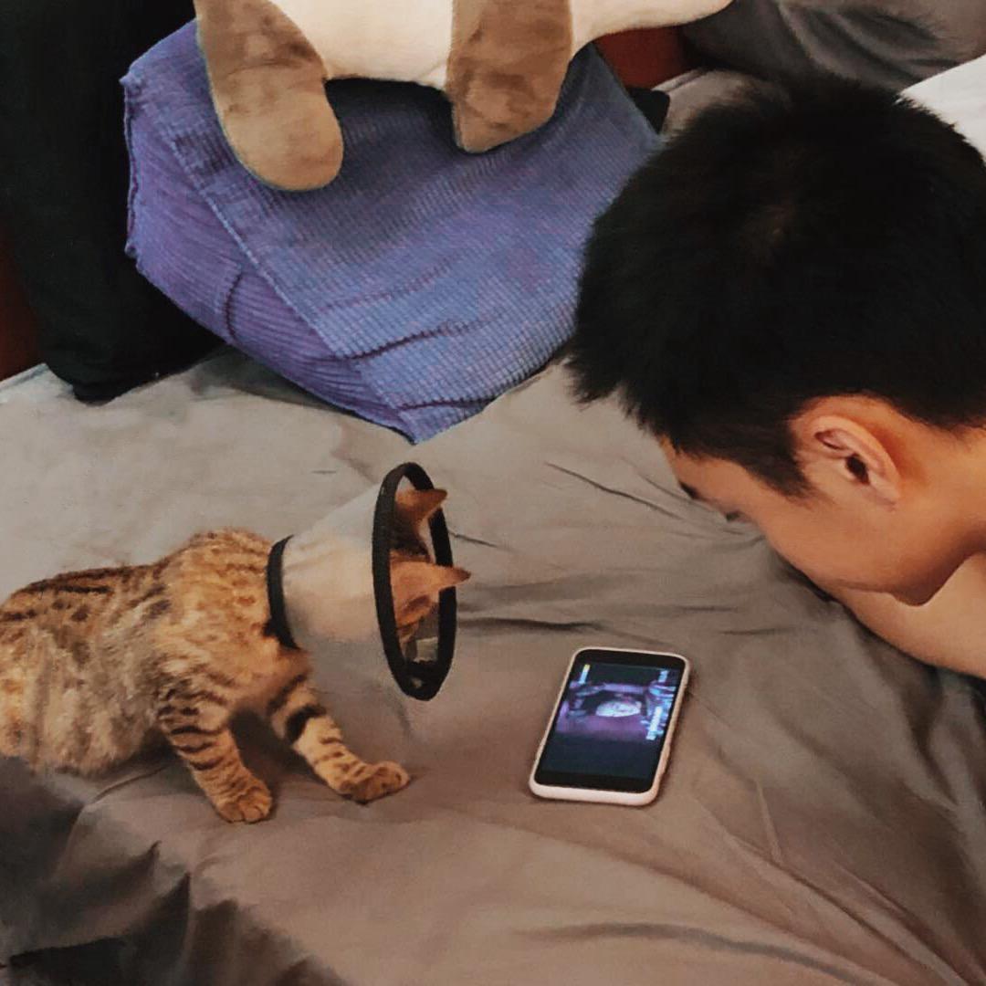 劲道橙 🍊