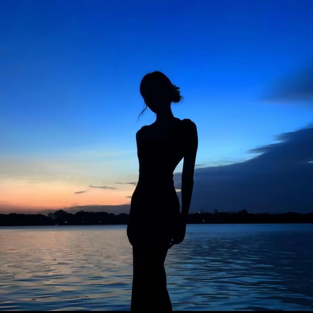 流浪小狗