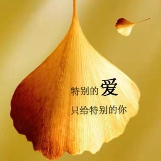 秋露姜茶（四米二冷藏车）
