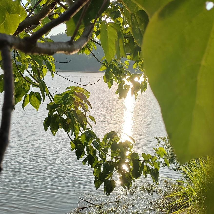 馨诚向洋👨‍👩‍👧‍👦